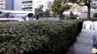 纯洁的天使与坏坏的恶魔你选择什么样的